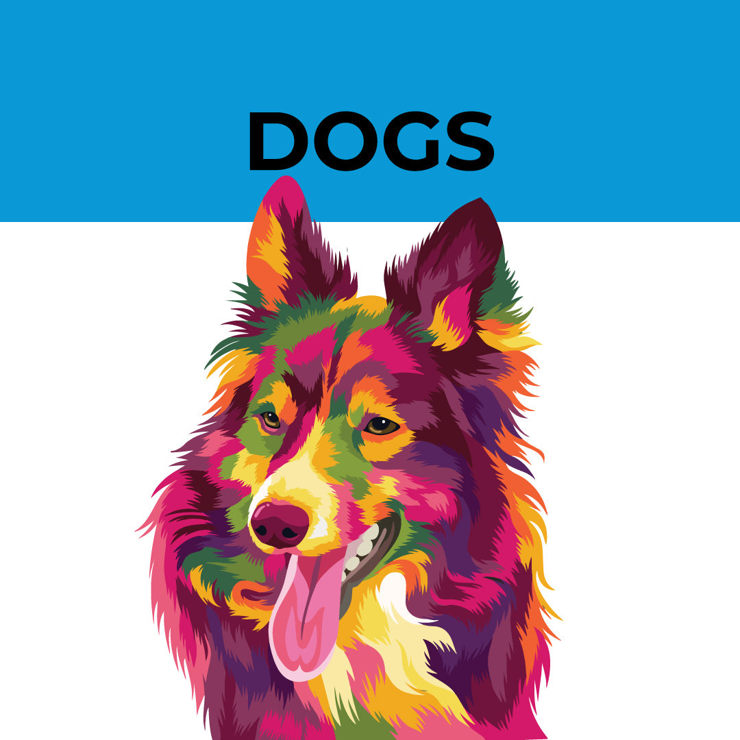 Hemppet for Dogs Collection