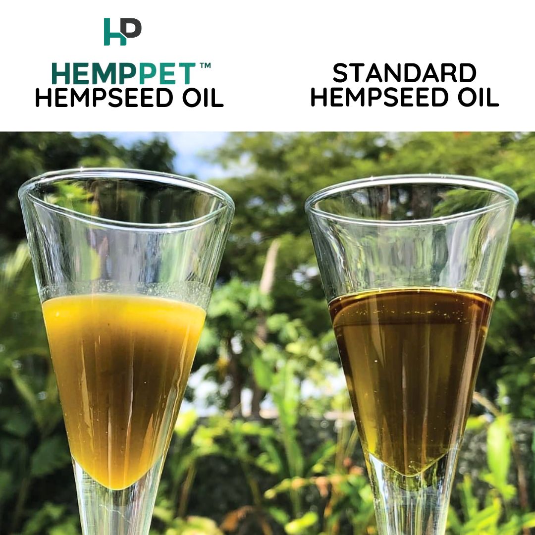 Raw Hemp Seed Oil Bundle for Horses 500ml | Buy 3 and Save - HempPet.com.au