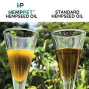 Raw Hemp Seed Oil Bundle for Horses 500ml | Buy 3 and Save - HempPet.com.au