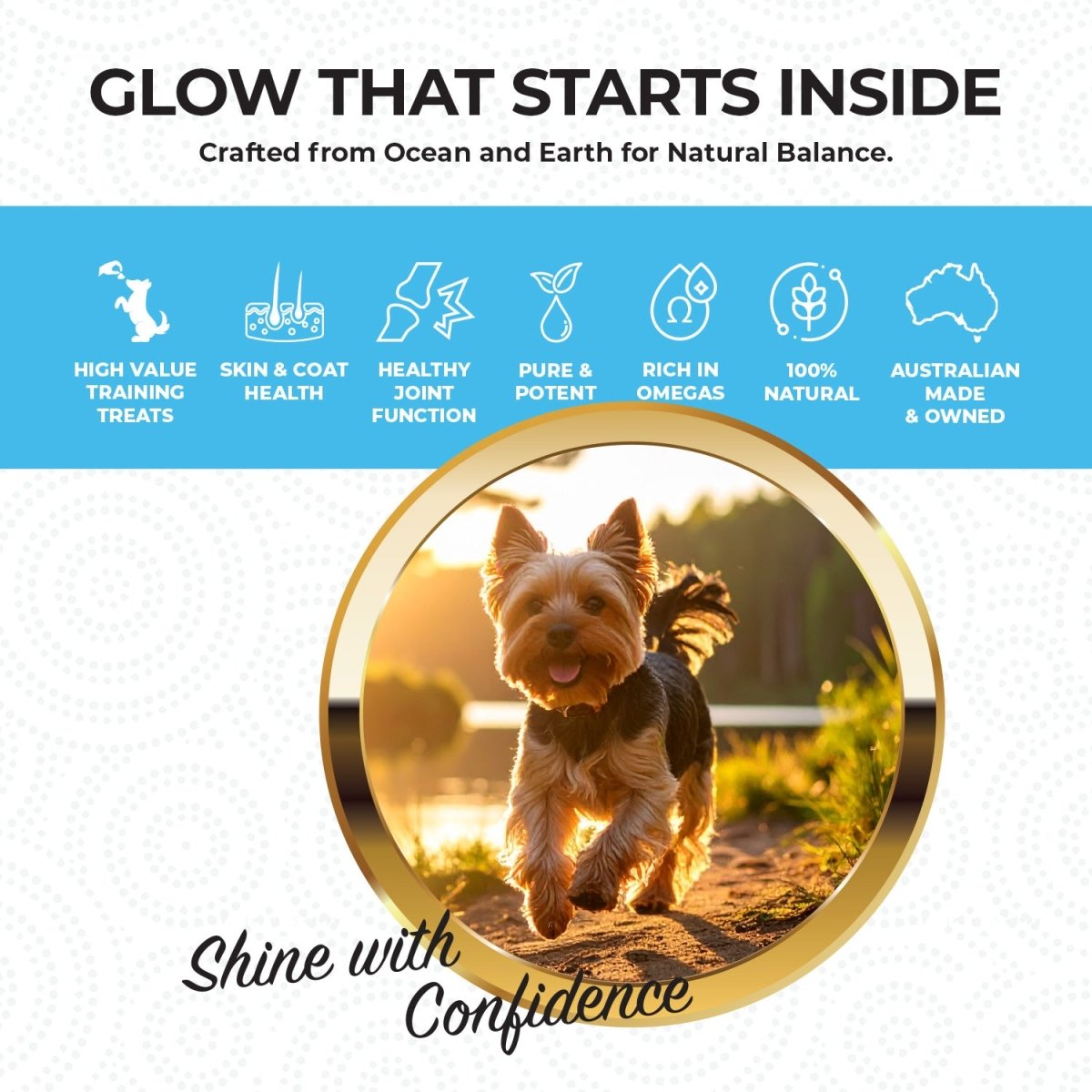 Skin & Coat Support | New Zealand Hoki Fish Hemp Infused Treats for Dogs 70g | Buy 5 get 1 Free - HempPet.com.au