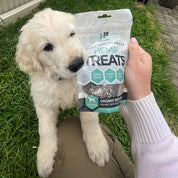 Vitality Support | Hemp Infused Organic Beef Liver Treats for Dogs 80g - HempPet.com.au