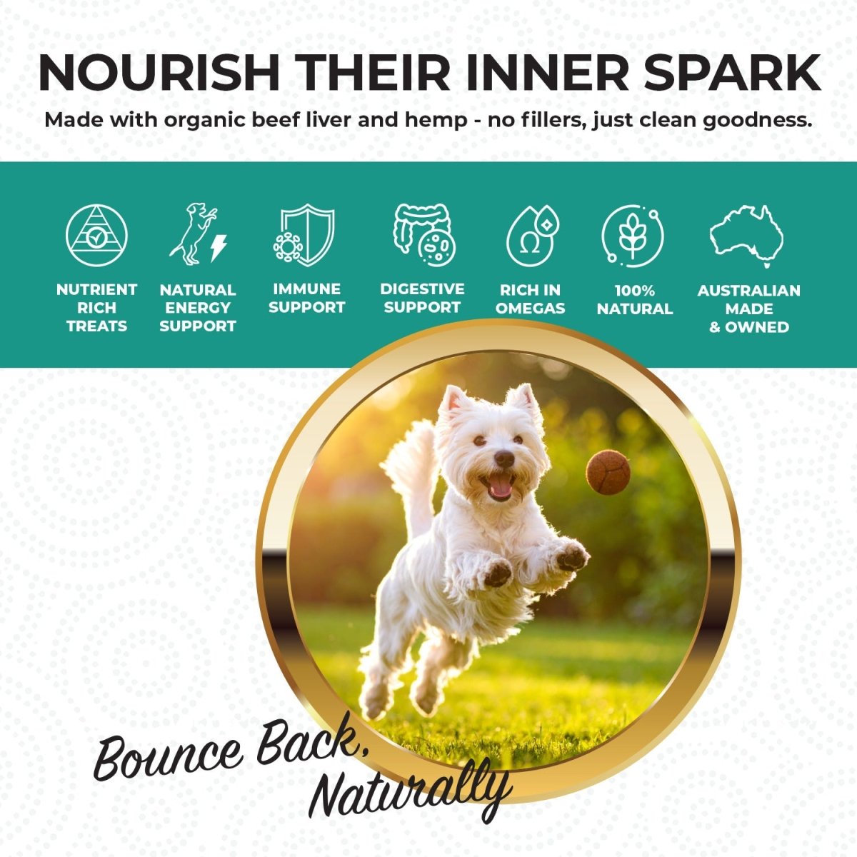 Vitality Support | Hemp Infused Organic Beef Liver Treats for Dogs 80g | Buy 5 get 1 Free - HempPet.com.au