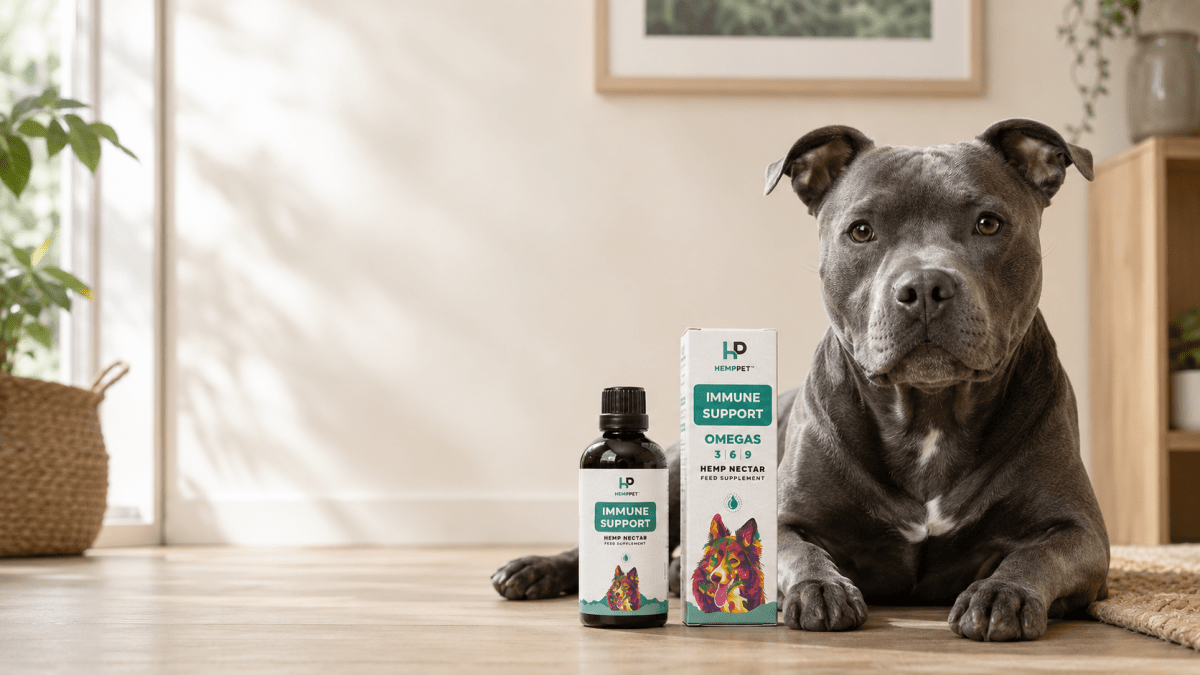 Hemp Oil for Your Dog's Skin and Coat - HempPet.com.au