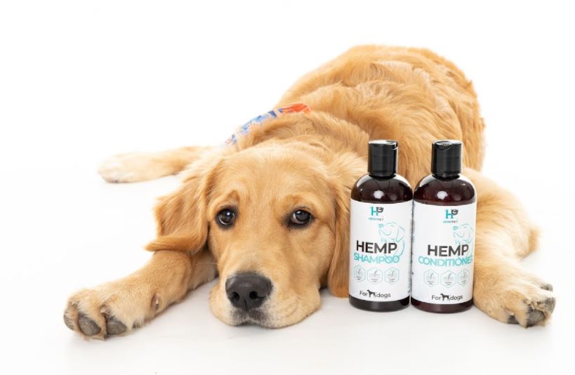 What Is The Best Dog Shampoo For Dry Skin? - HempPet.com.au