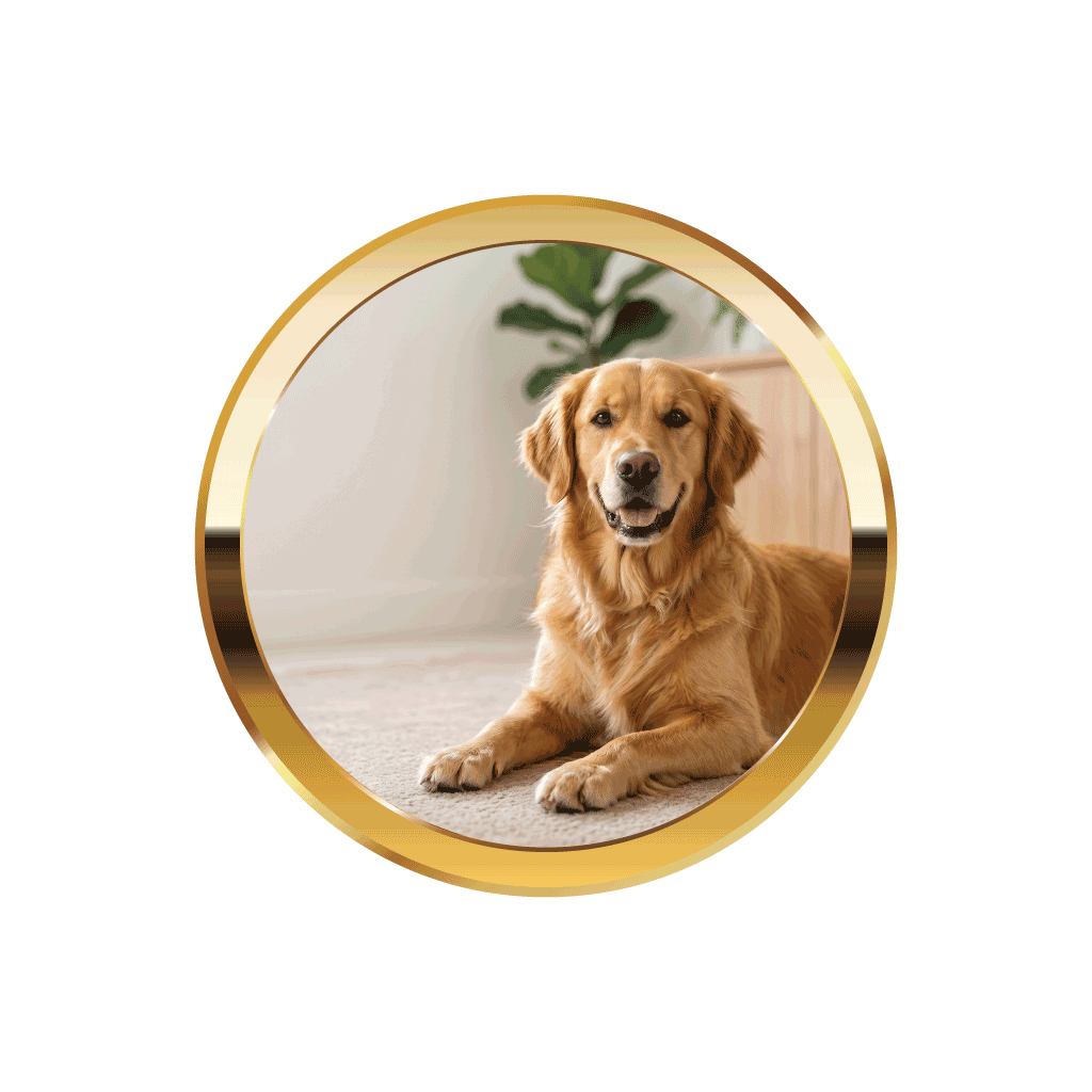 For Dogs - HempPet.com.au