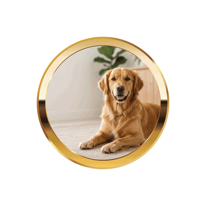 For Dogs - HempPet.com.au