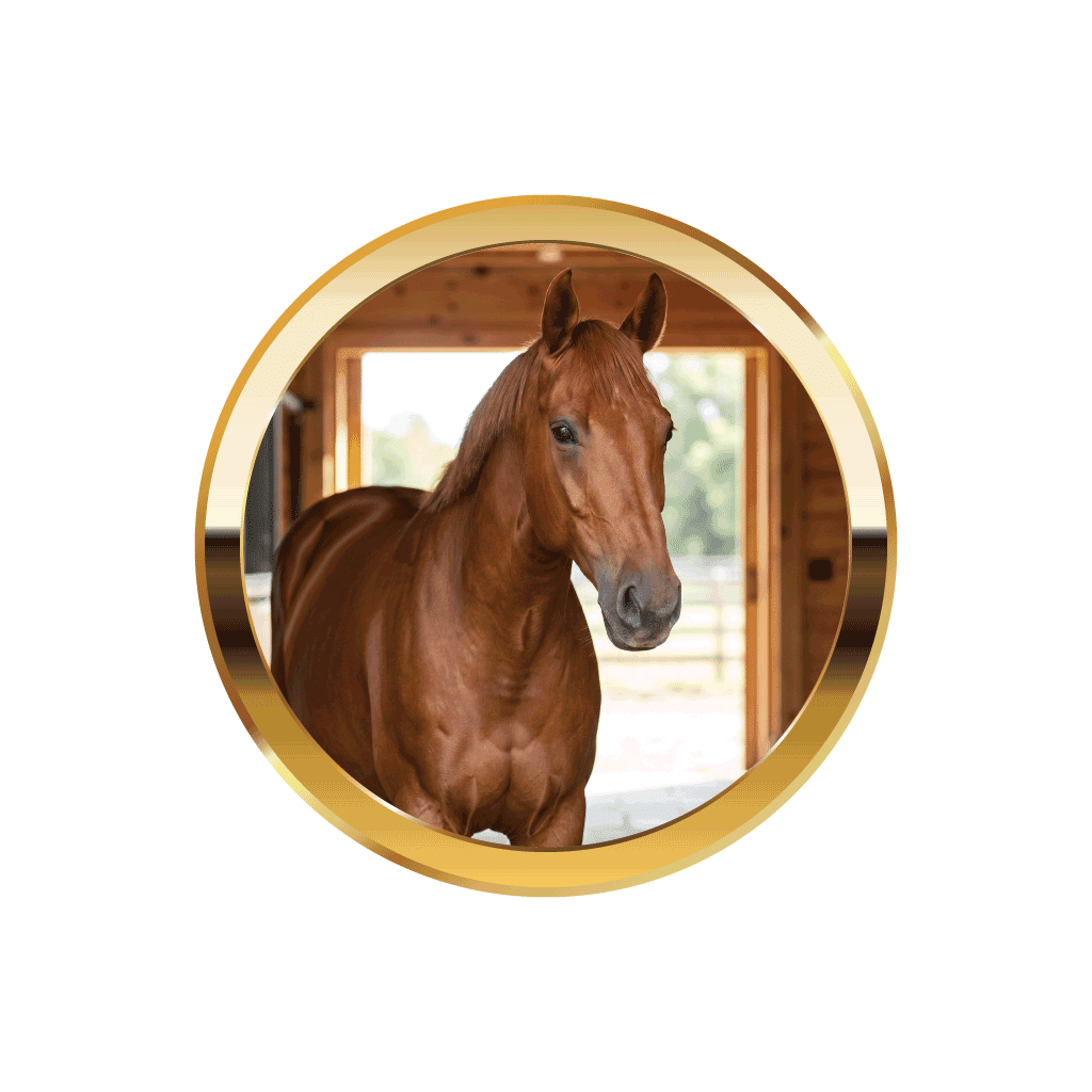 For Horses - HempPet.com.au