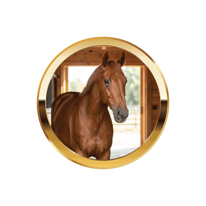 For Horses - HempPet.com.au
