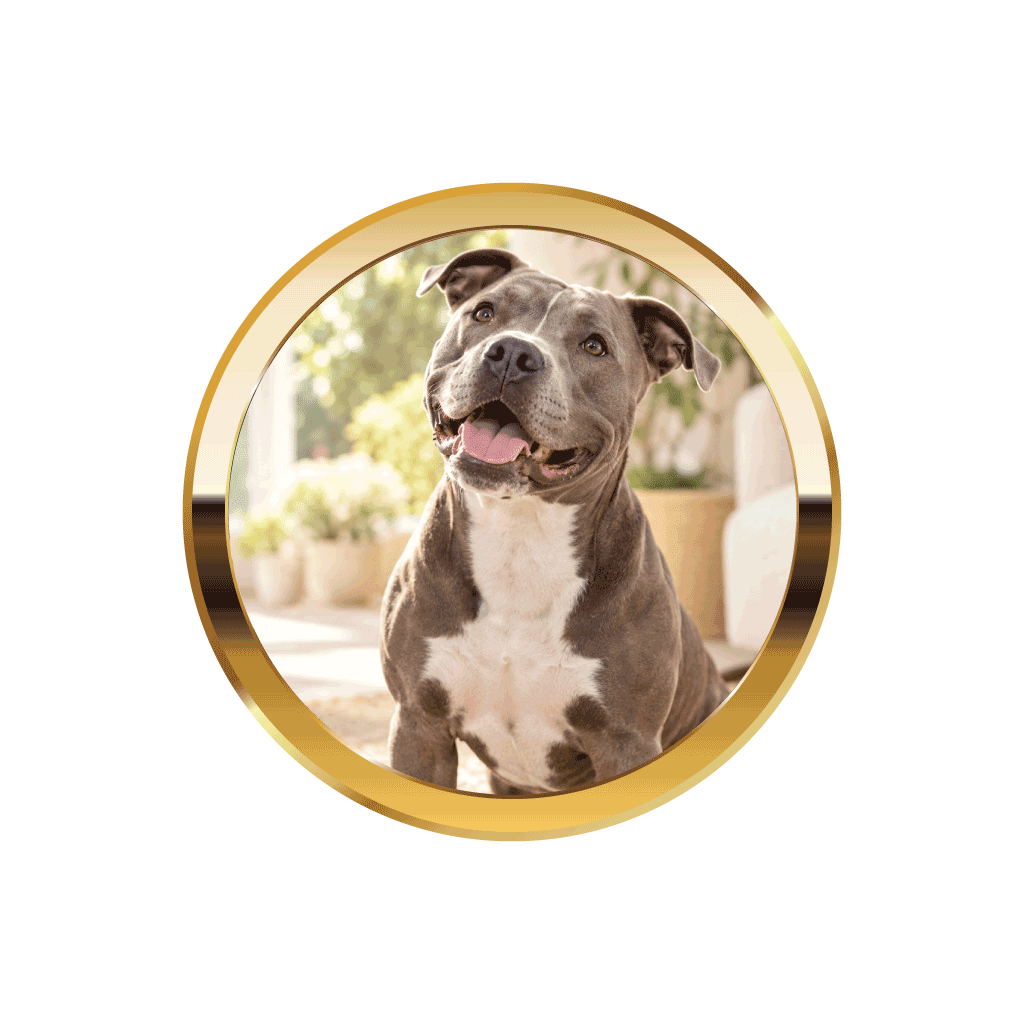 Treats - HempPet.com.au