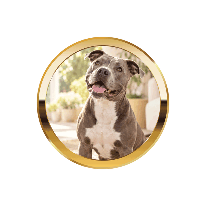 Treats - HempPet.com.au