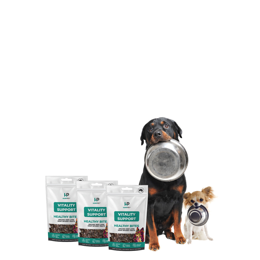 Hemp Pet Shop 100 Natural Treats Feeds for Dogs Cats and