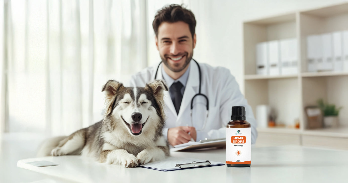 Full Spectrum CBD Oil?