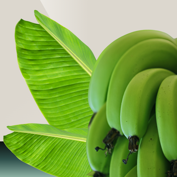 Green Banana