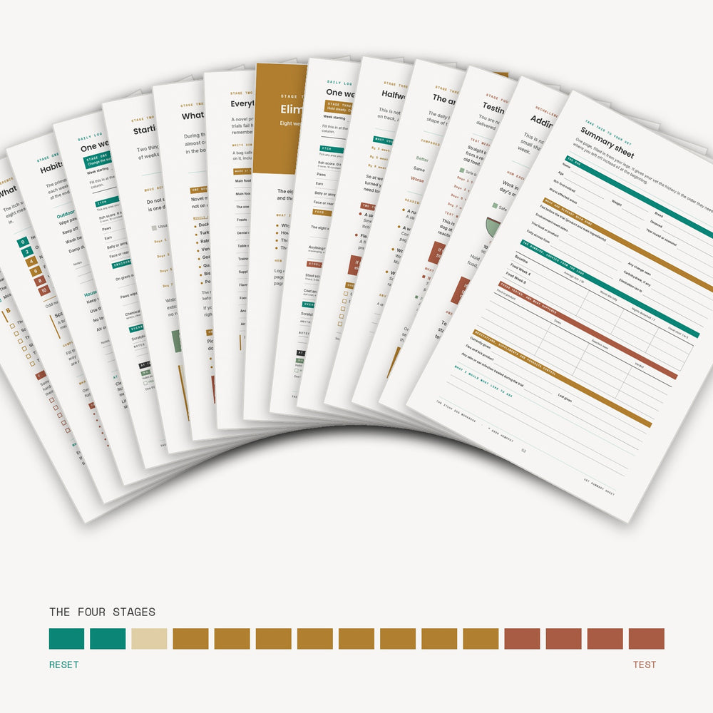A fan of printed planner or checklist sheets arranged on a white background, with a color strip labeled 'THE FOUR STAGES' below. The sheets contain multicolored text and boxes, and the color strip shows teal, beige, mustard, and terracotta tones.