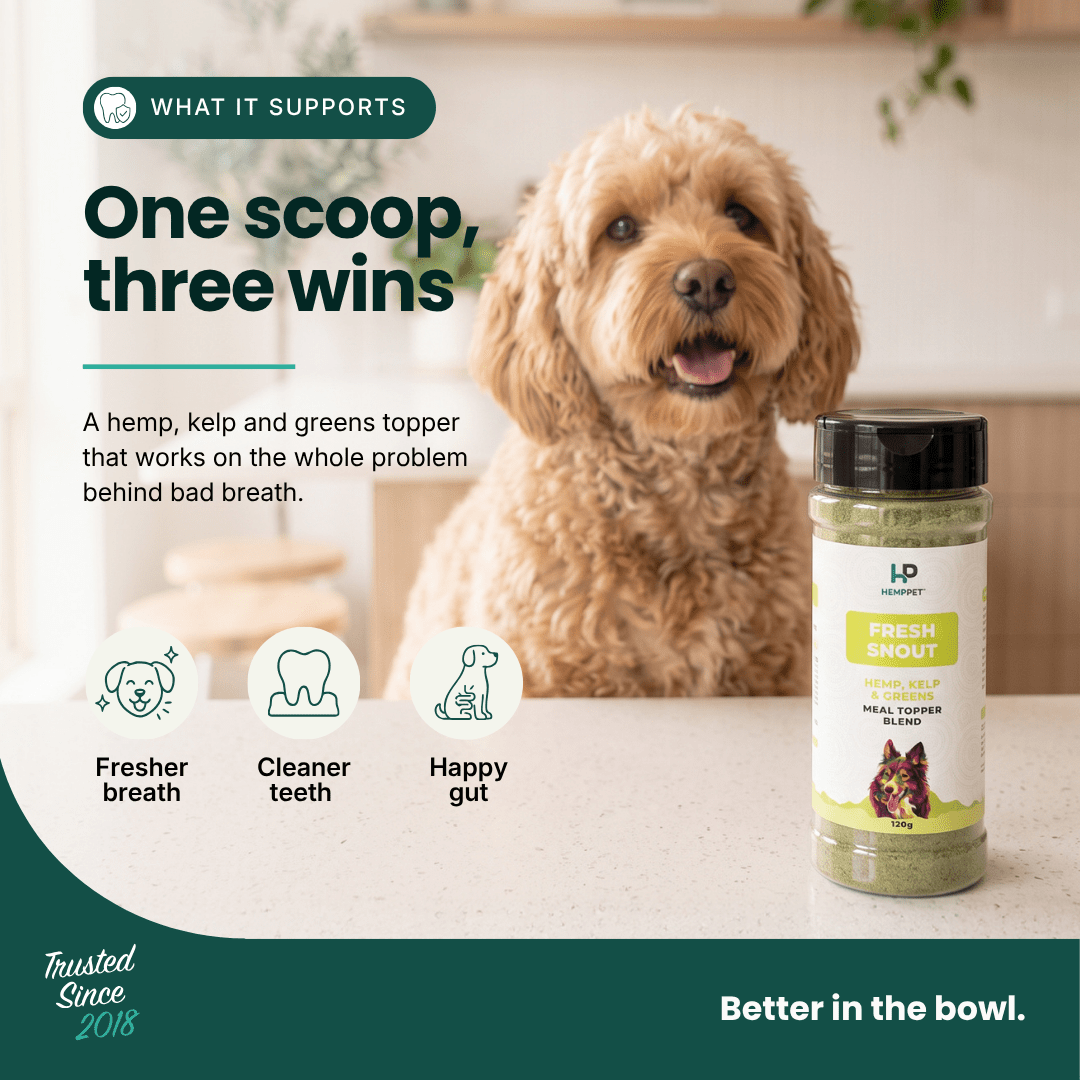 Fresh Snout Dog Breath Freshener & Dental Meal Topper Kelp + Greens, 120g - HempPet.com.au