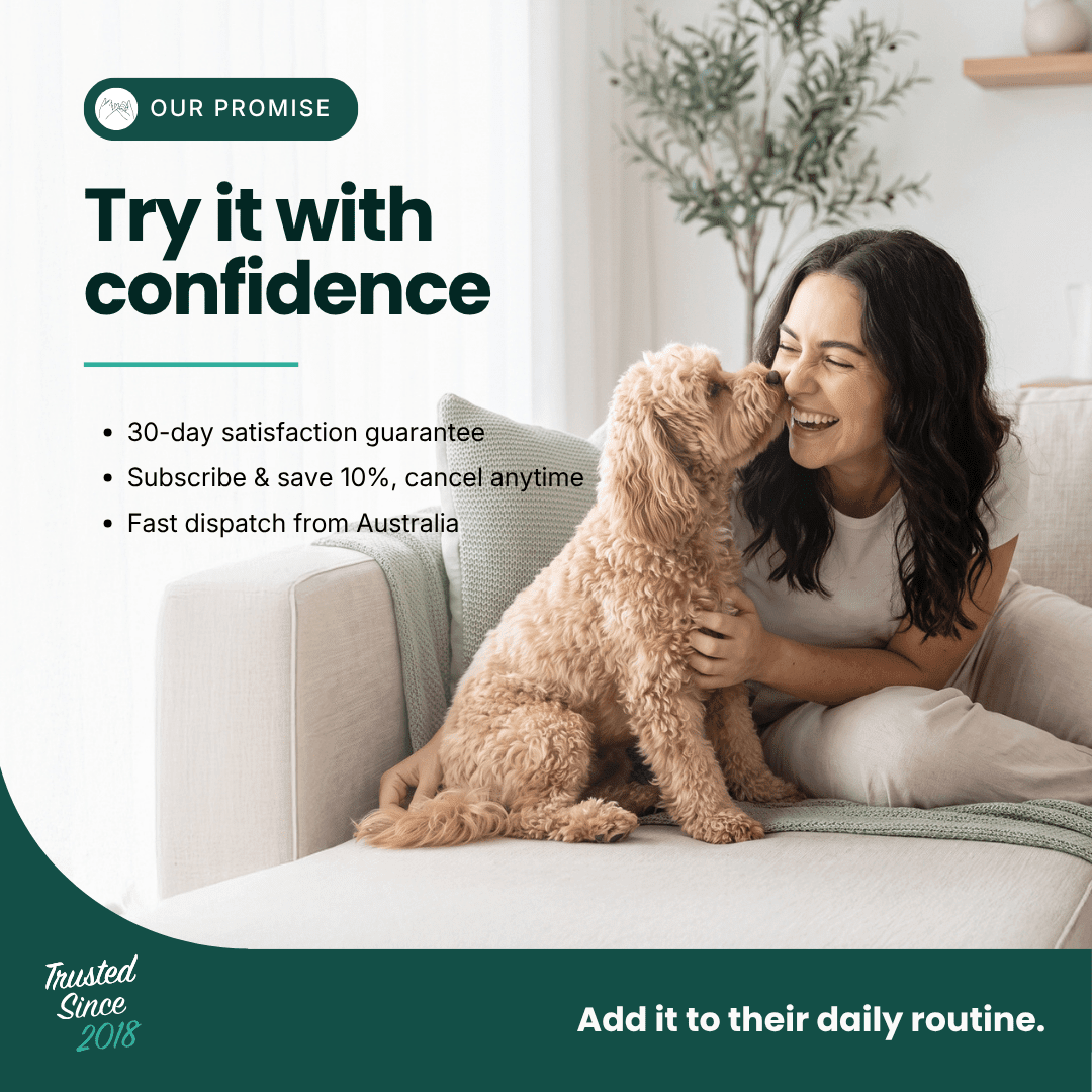 Fresh Snout Dog Breath Freshener & Dental Meal Topper Kelp + Greens, 120g - HempPet.com.au