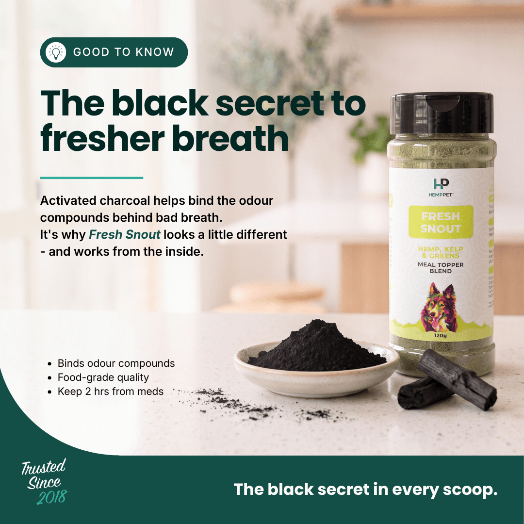 Fresh Snout Dog Breath Freshener & Dental Meal Topper Kelp + Greens, 120g - HempPet.com.au