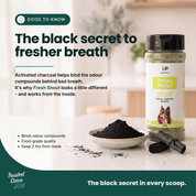 Fresh Snout Dog Breath Freshener & Dental Meal Topper Kelp + Greens, 120g - HempPet.com.au