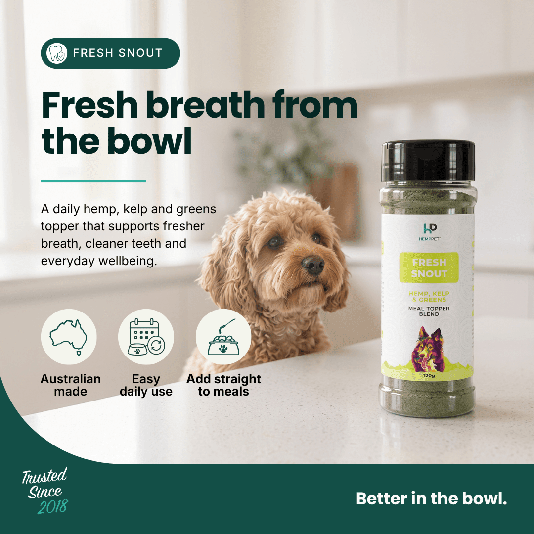 Fresh Snout Dog Breath Freshener & Dental Meal Topper Kelp + Greens, 120g - HempPet.com.au