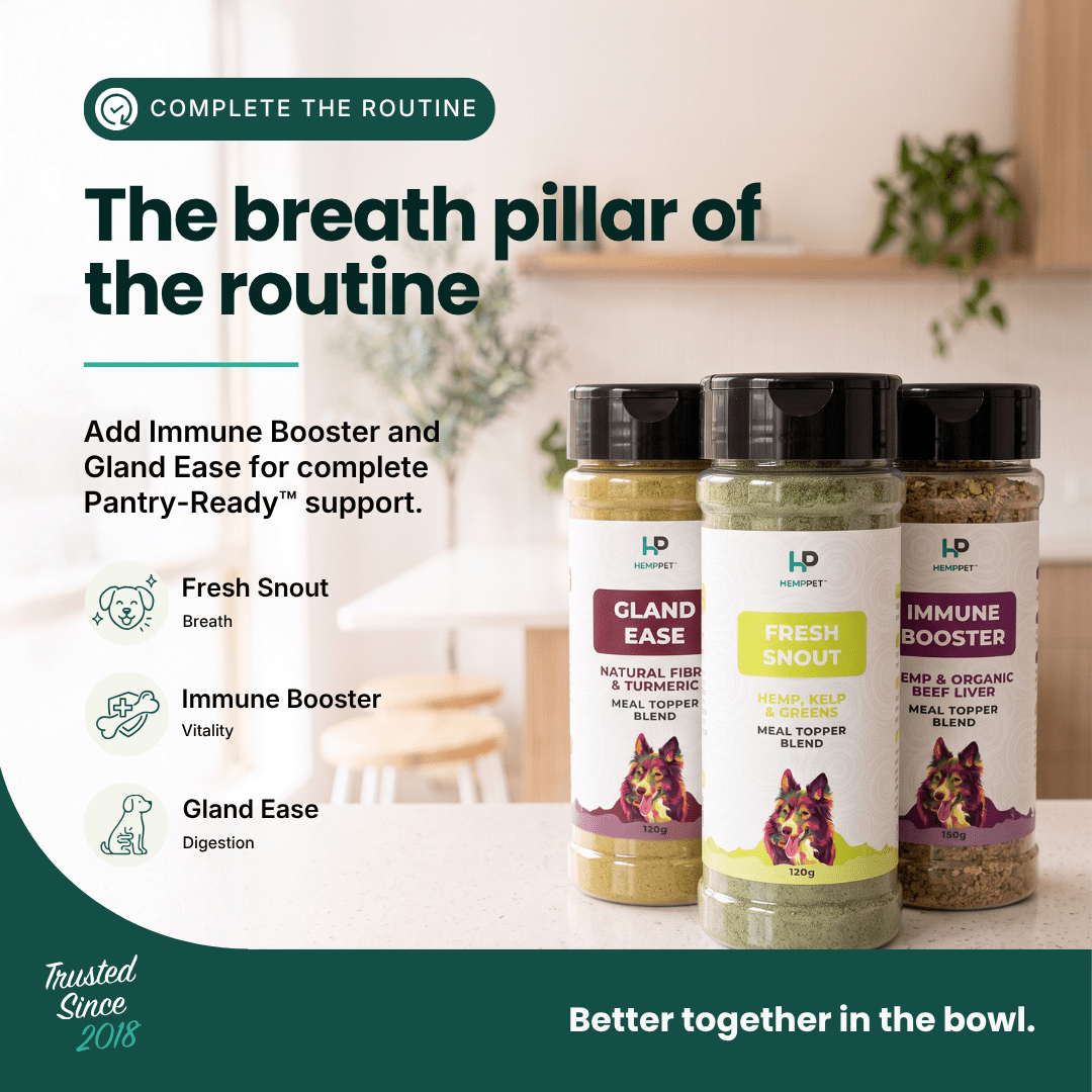 Fresh Snout Dog Breath Freshener & Dental Meal Topper Kelp + Greens, 120g - HempPet.com.au