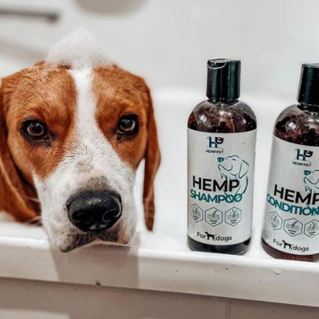 Grooming Bundle for Dogs - Hemp Seed Oil Dog Shampoo and Conditioner | Save with Bundle - HempPet.com.au