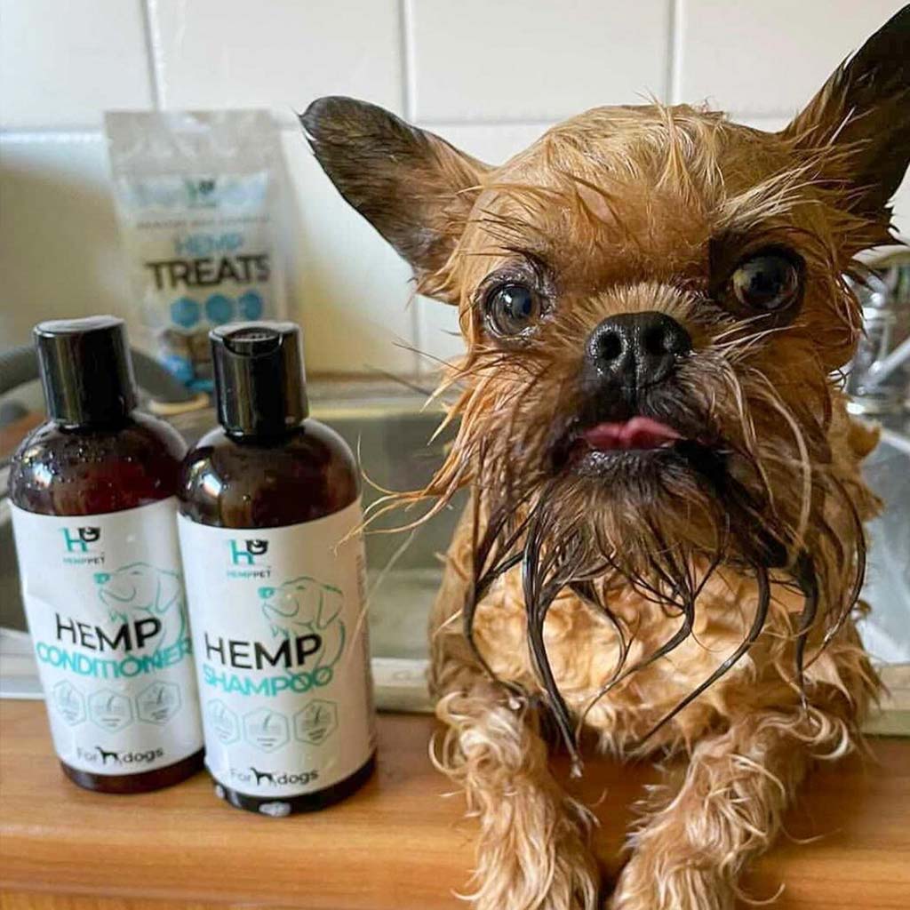 Grooming Bundle for Dogs - Hemp Seed Oil Dog Shampoo and Conditioner | Save with Bundle - HempPet.com.au