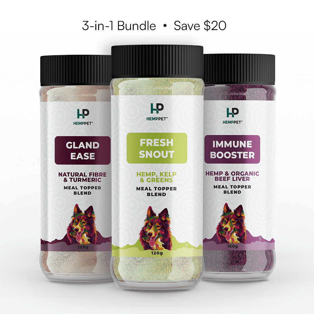HempPet 3 - in - 1 Wellness Meal Topper Bundle for Dogs (Gland, Dental & Immune Support) - HempPet.com.au