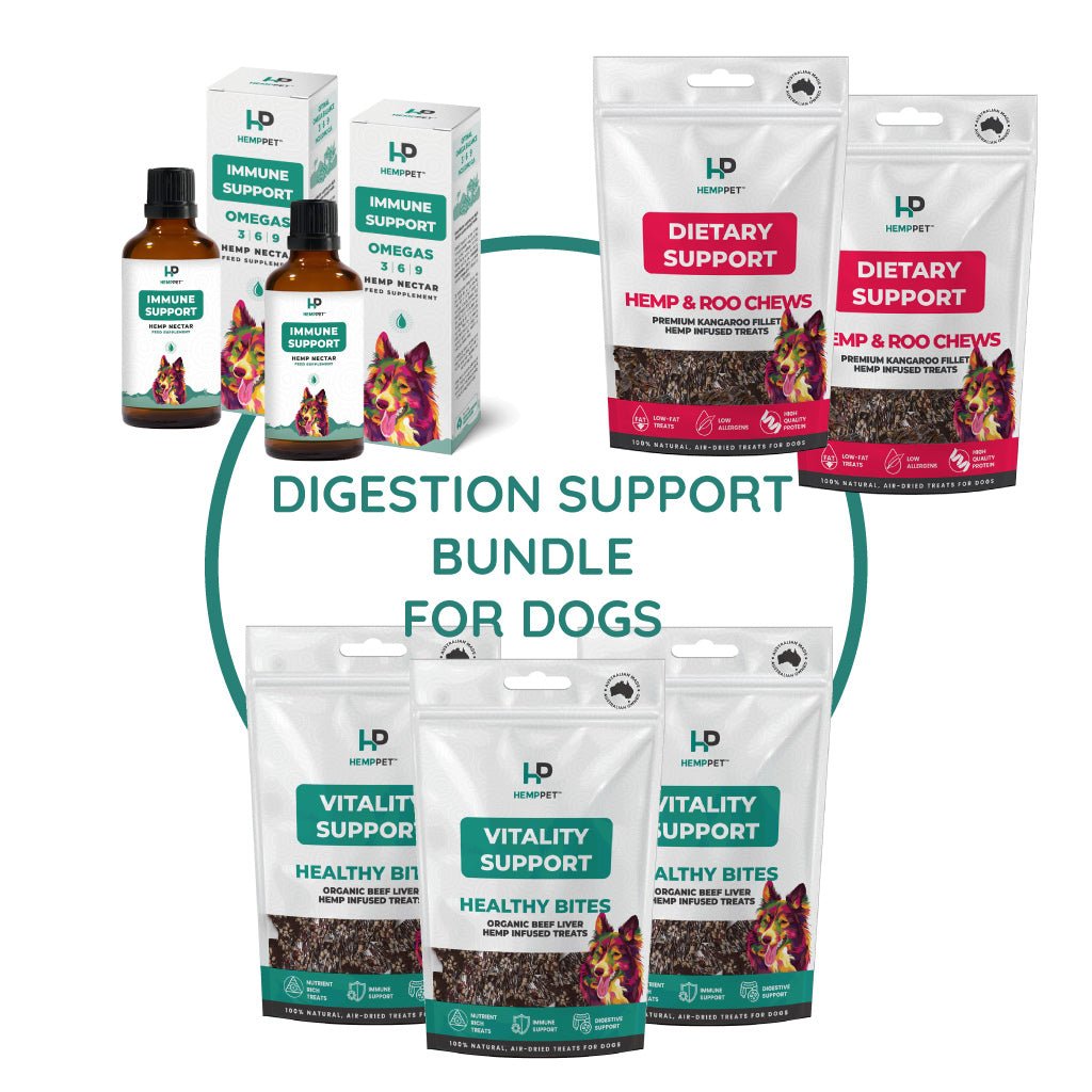 HempPet | Digestion Support Bundle | Immune Support and Treats for Dogs - HempPet.com.au