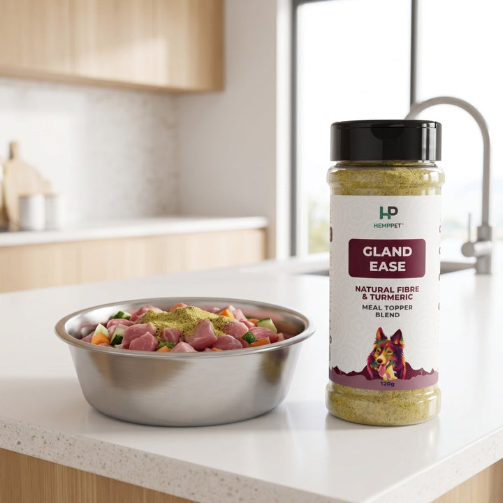 HempPet Gland Ease | Natural Fibre & Turmeric Meal Topper for Dogs (120g) - HempPet.com.au