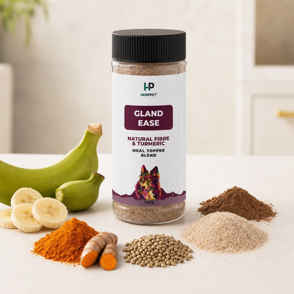 HempPet Gland Ease | Natural Fibre & Turmeric Meal Topper for Dogs (120g) - HempPet.com.au