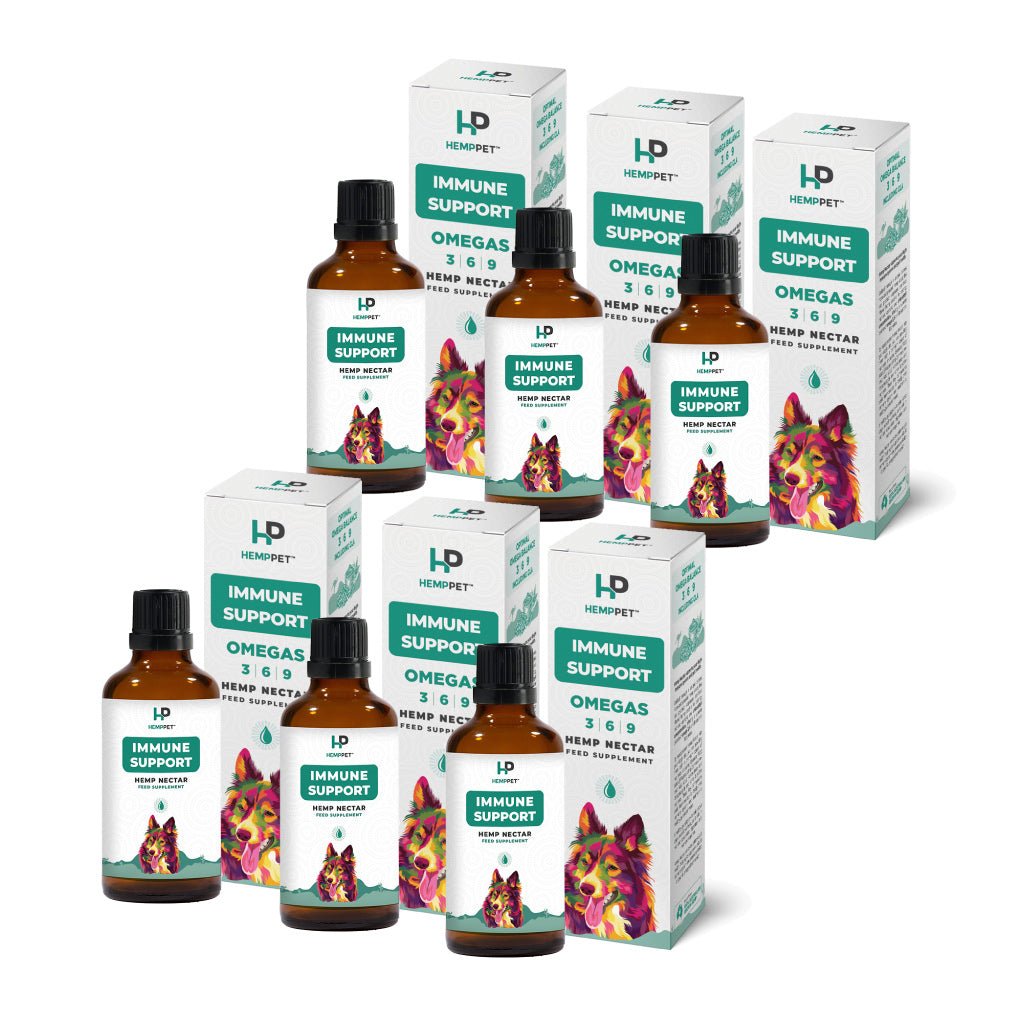 HempPet | Immune Support Pack of 6 | Hemp Nectar Oil for Dogs - HempPet.com.au