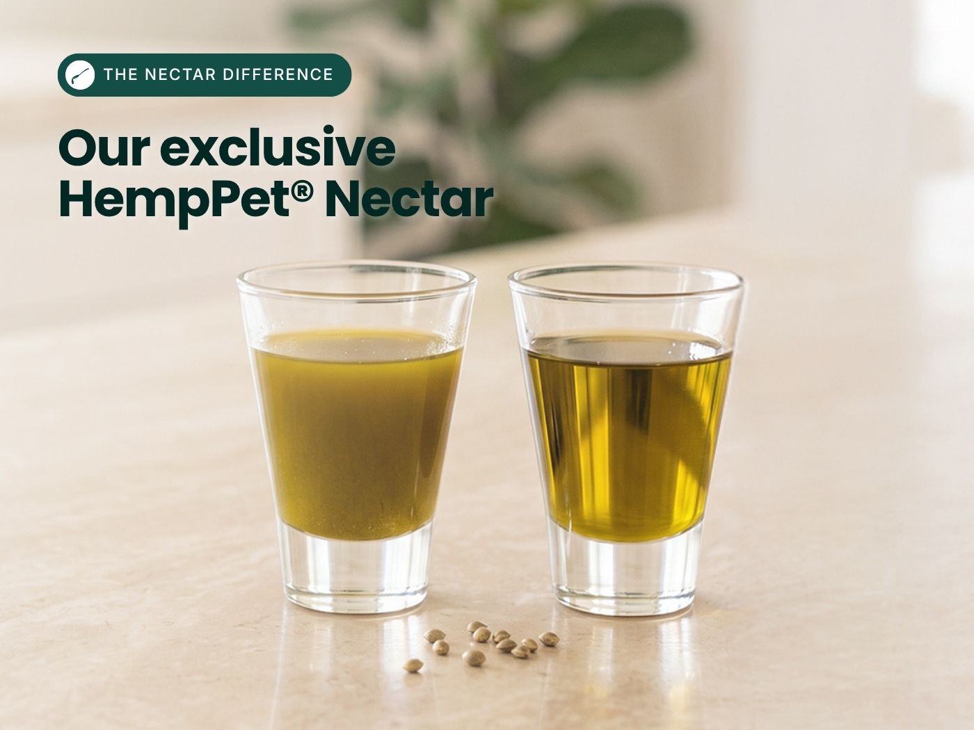 Two clear shot glasses filled with golden yellow hemp nectar sit on a light beige surface, with a few small seeds in front. Dark green text at the top left reads 'THE NECTAR DIFFERENCE' and 'Our exclusive HempPet Nectar'.