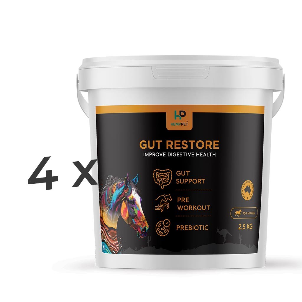 Horse | Feed | Box of 4 | Gut Restore | Improve Digestive Health | Feed for Horses 2.5kg - HempPet.com.au