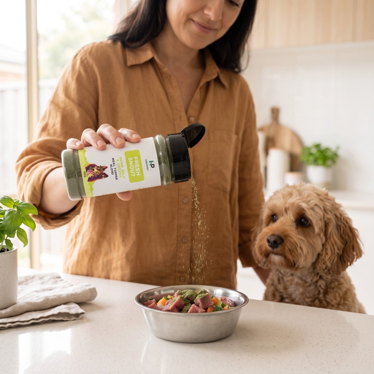 Dog and cat lifestyle image