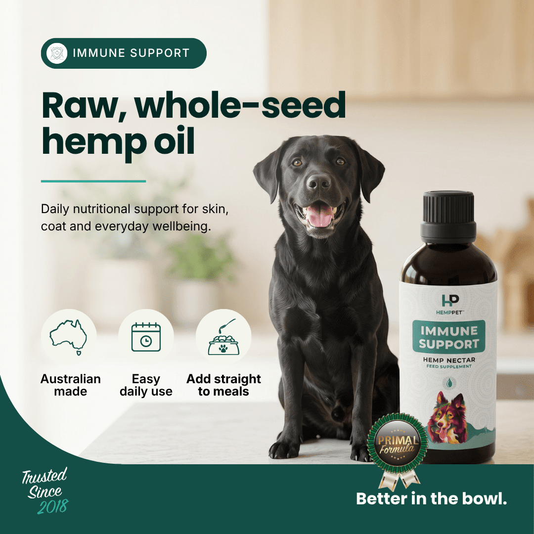 Immune Support | Hemp Seed Nectar for Dogs - HempPet.com.au
