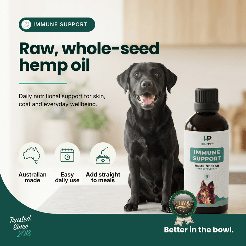 Bottle of HempPet Hemp Nectar raw cold-pressed hemp seed oil beside a dog's meal bowl