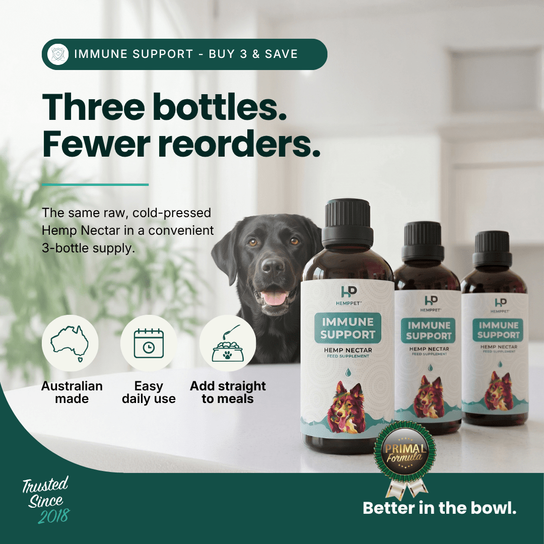 Immune Support | Hemp Seed Nectar for Dogs | Buy 3 and Save - HempPet.com.au