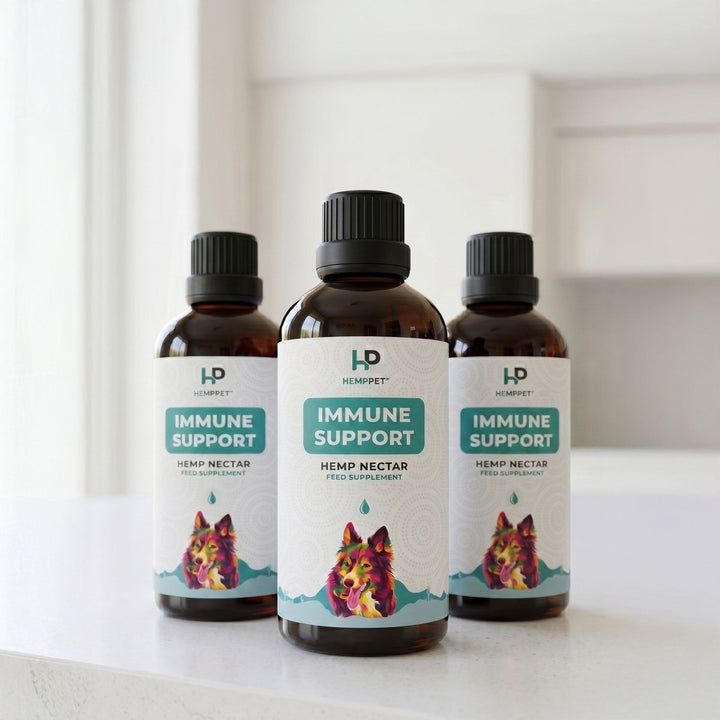 Immune Support | Hemp Seed Nectar for Dogs | Buy 3 and Save - HempPet.com.au
