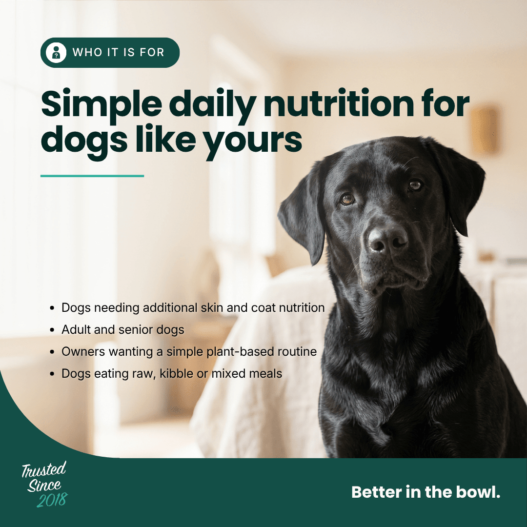 Immune Support | Hemp Seed Nectar for Dogs | Buy 5 get 1 Free - HempPet.com.au