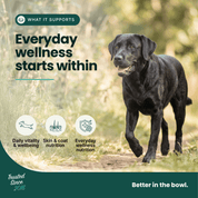 Immune Support | Hemp Seed Nectar for Dogs | Buy 5 get 1 Free - HempPet.com.au