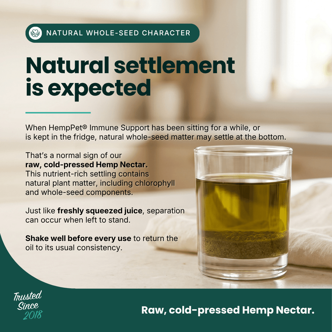 Immune Support | Hemp Seed Nectar for Dogs | Buy 5 get 1 Free - HempPet.com.au
