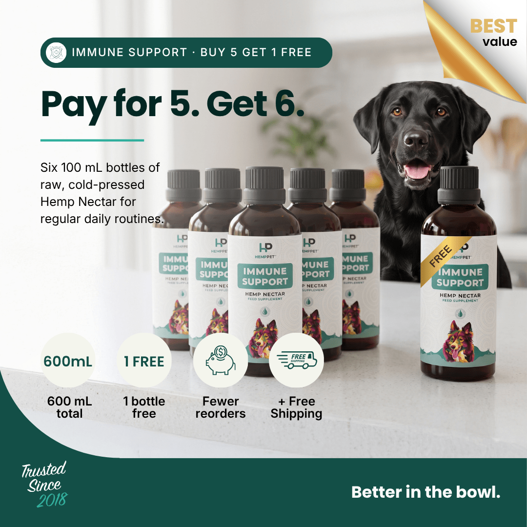 Immune Support | Hemp Seed Nectar for Dogs | Buy 5 get 1 Free - HempPet.com.au