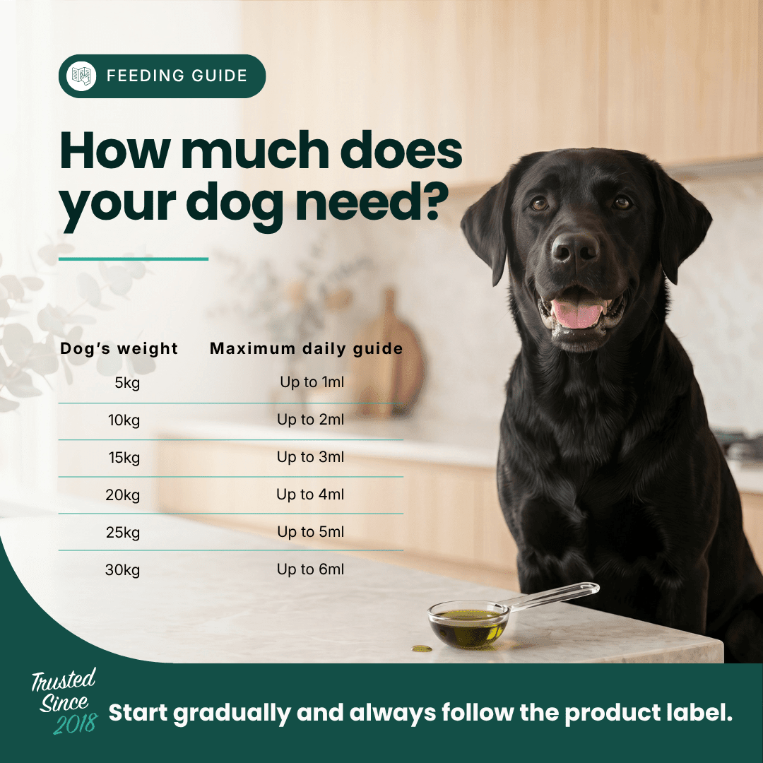 Immune Support | Hemp Seed Nectar for Dogs | Buy 5 get 1 Free - HempPet.com.au