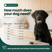 Immune Support | Hemp Seed Nectar for Dogs | Buy 5 get 1 Free - HempPet.com.au