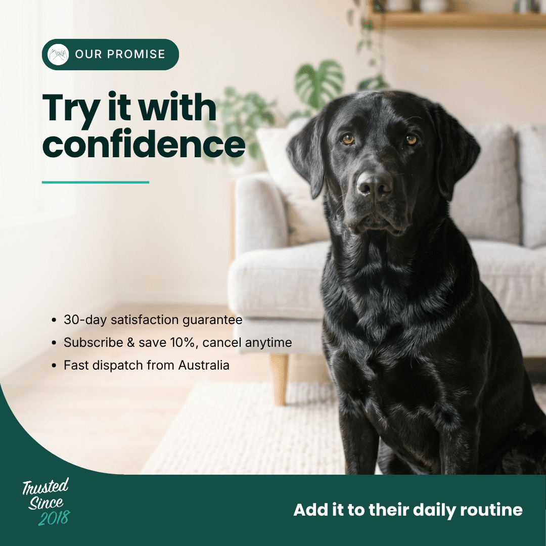 Immune Support | Hemp Seed Nectar for Dogs | Buy 5 get 1 Free - HempPet.com.au