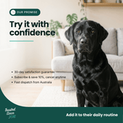 Immune Support | Hemp Seed Nectar for Dogs | Buy 5 get 1 Free - HempPet.com.au