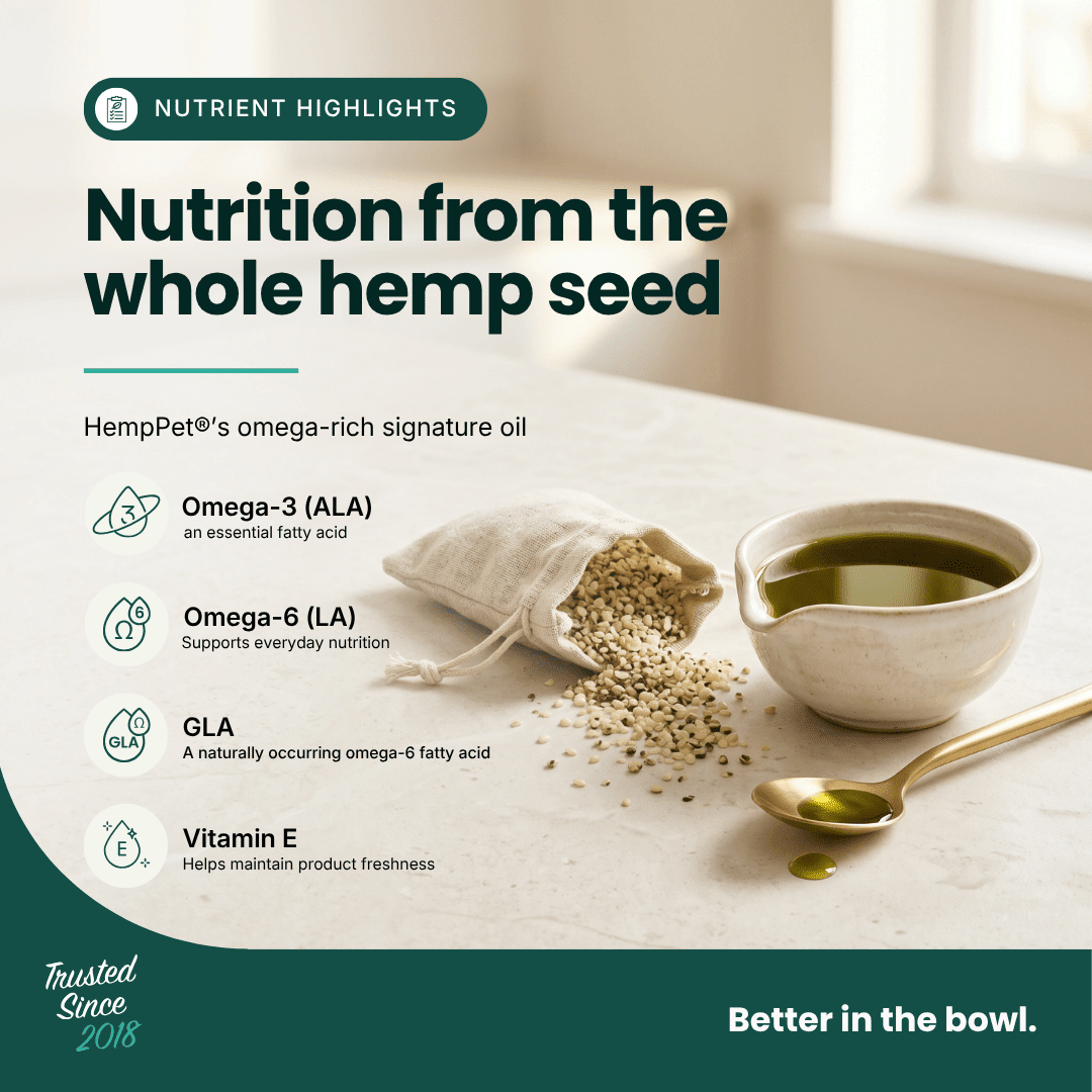 Immune Support | Hemp Seed Nectar for Dogs | Buy 5 get 1 Free - HempPet.com.au