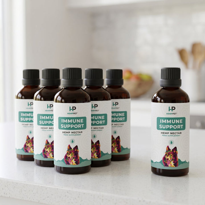 Six bottles of HempPet Hemp Nectar for dogs, Buy 5 Get 1 Free pack