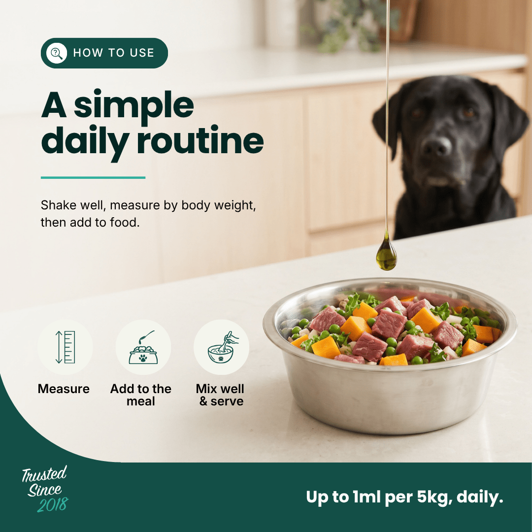 Immune Support | Hemp Seed Nectar for Dogs | Buy 5 get 1 Free - HempPet.com.au