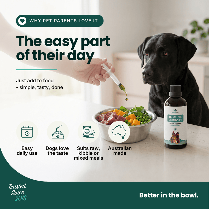 HempPet Hemp Nectar 100 mL raw cold-pressed hemp seed oil for dogs